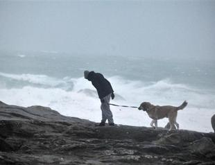 Storm damage deprives 240,000 homes of power in France
