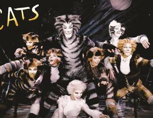 Cats musical meets Istanbul audience