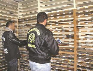 Pirated software, hardware use dangerously high in Turkey