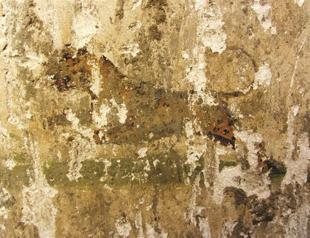 Leopard figure discovered on ancient city walls in Denizli