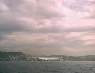 Surface Phenomena exhibition