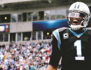 Panthers, Patriots, Bengals clinch playoff berths