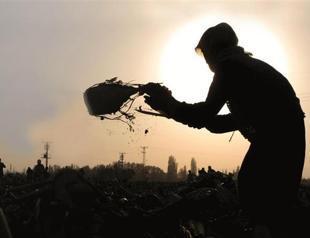 No sweets without sweat during Konya sugar beet season