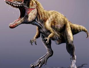 First dinosaurs in Arabian peninsula identified