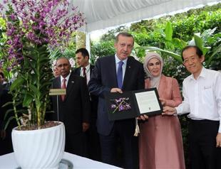 Orchid at Singapore Botanic Park named after Turkish PM Erdoğan and his wife