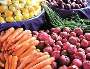 Turkish fruit exports rise 16 pct in a year