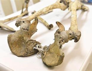 Bones unearthed in Marmaray excavations to reveal life of people from ancient times