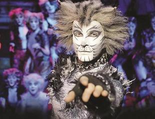Cats to purr on Istanbul stage