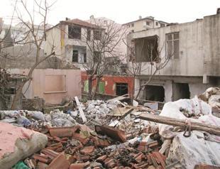 Istanbul Fikirtepe weekend safari with Murat Germen