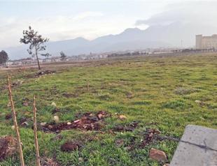 Hopes for confiscated assets in Syria fails