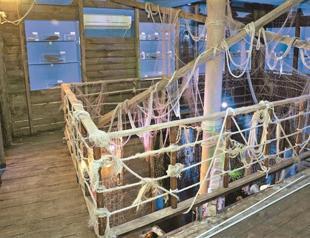 Turkey’s first sea creatures museum opens in Antalya