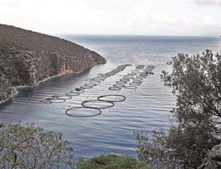 Tourism helps Greece near first current account surplus since joining eurozone