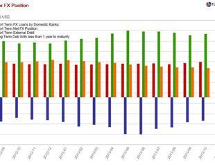 InDebted by the Exchange Rate