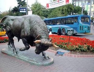 White Turkey for White Turks