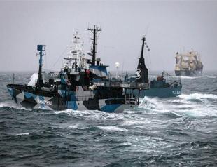 Japan asks Netherlands to act against anti-whalers