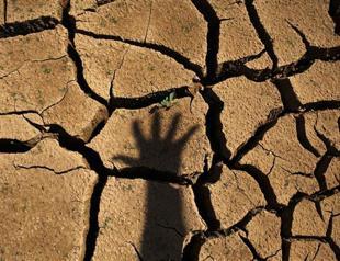 2013 sixth hottest year, confirms long-term warming: UN