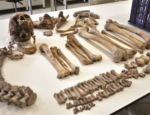 Male bones found in ancient graves in Turkeys Kırşehir