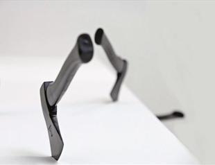 Art and design collaborate for nature