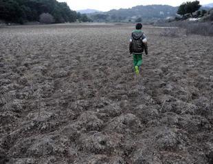 Turkish businesses should take heed of climate change: EBRD report