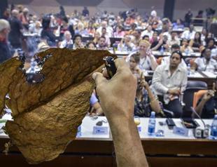 Cigar aficionados vie to create Cubas longest ash
