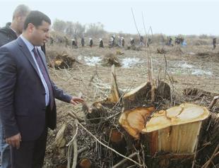 Students, locals stand guard to protect trees in Diyarbakır campus
