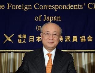 UN nuclear watchdog chief says atomic plants never 100% safe