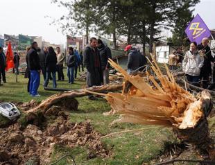 Midnight raid on Ankara theater campus results in cutting of dozens of trees