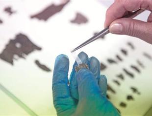 Israel building center for ancient artifacts