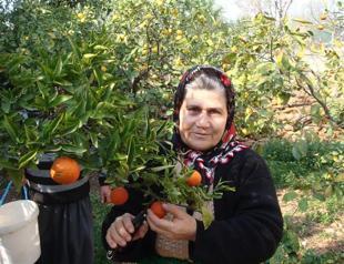 Turkey’s Changemakers: Woman with spirit of Afife Jale: Ümmiye Koçak