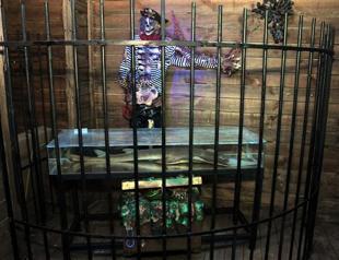 Endangered species to take shelter at Marine Biology Museum