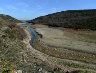 Drought fuels fears over energy costs, food price rises