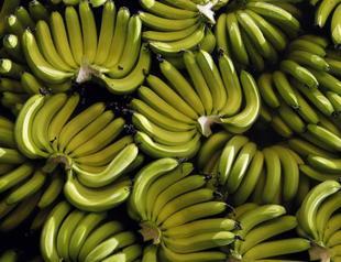 Disease threatens worlds bananas: UN