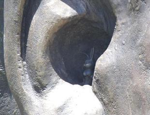 South Africa orders removal of rabbit from Mandela statues ear