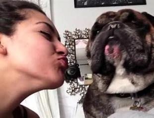 I hate your kisses Sincerely, your pet