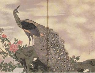 The peacock: A symbol of royalty
