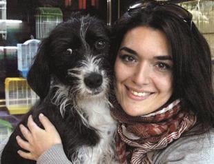 Pet ownership will require a certificate in Turkey