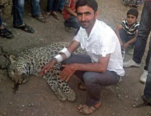 Trial over leopard killed in Diyarbakır kicks off with a Greenpeace member judge