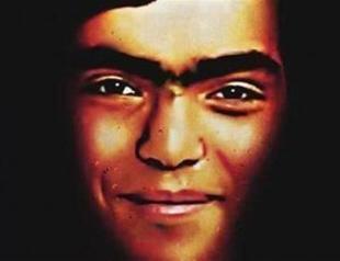 Two officers who shot Berkin Elvan detected, report says