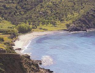 Ecological agriculture plans in Datça peninsula may pave way for villas with swimming pool