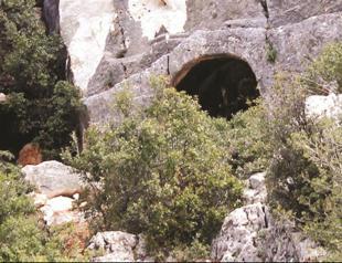 Treasure hunters destroy tomb