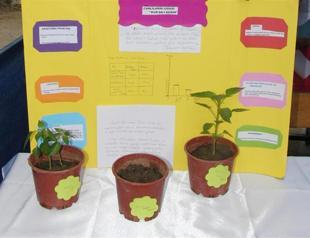 Quran makes plants grow faster, according to student’s science fair project