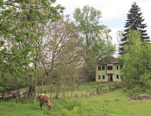 The green mountains of Düzce