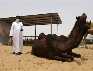 Saudi Arabia reports 10 more deaths from MERS virus, 20 other cases