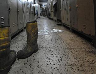 Business world mobilizes to help heal losses in Soma