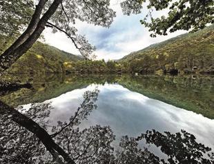 A glance at Circassia through photos