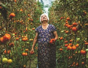 Collective reflecting the life and times of Turkey