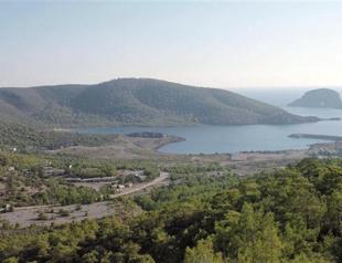 Environmentally disputed Turkish nuclear plant project vows to protect seals, turtles