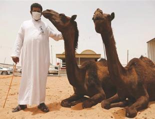 Camel infection ‘led to Mers death’: Study