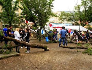 Court grants stay of execution for gas station construction on green area in Black Sea province