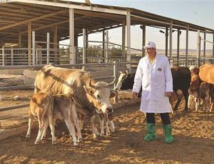 Turkish company plans to export fresh meat to Middle East